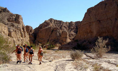 LANG members enjoy a desert hike